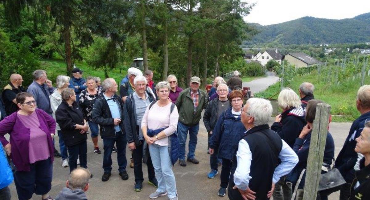 Vintur Mosel 2019