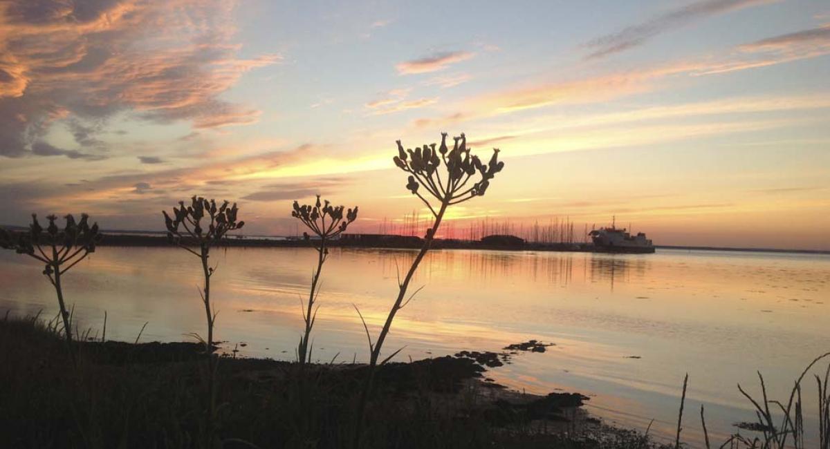 Smuk solnedgang ved havnen. Endelave, øen i midten, ø-ferie, øer, Danmark, havn, solnedgang
