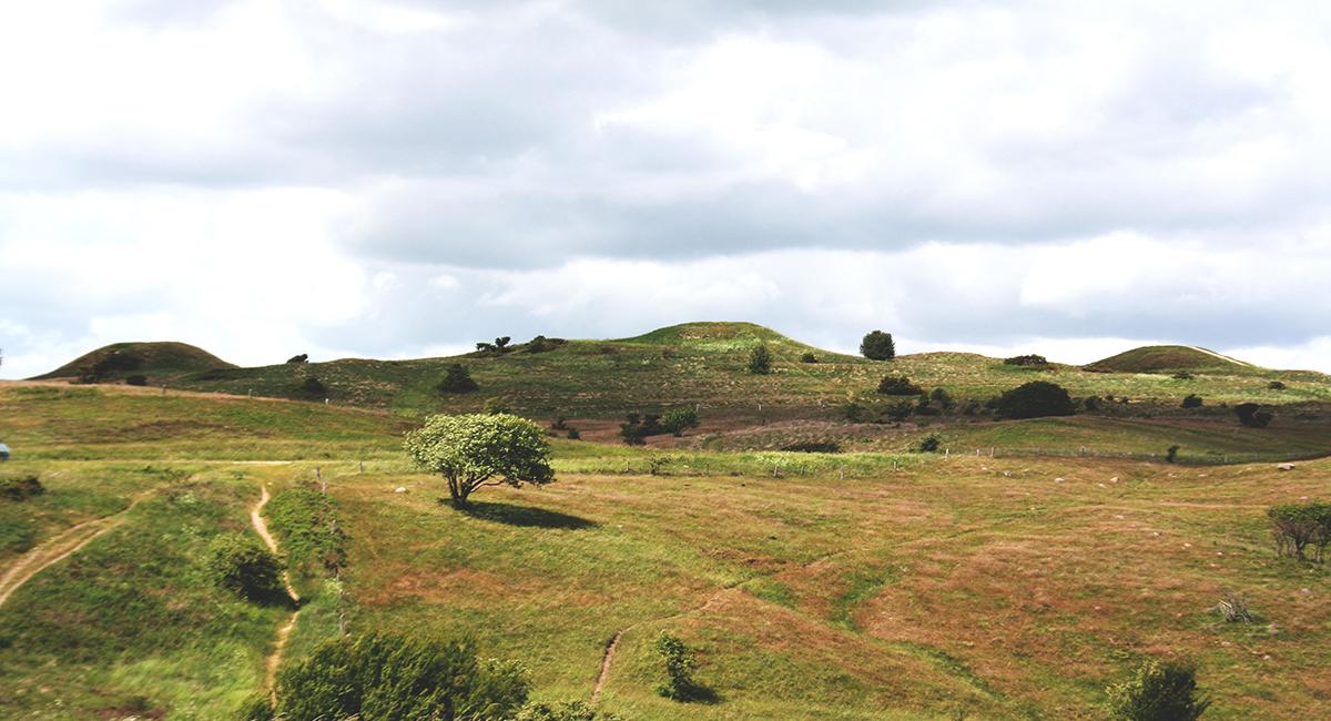 Nationalparker i Danmark, Mols Bjerge, Trehøje, bronzealderen