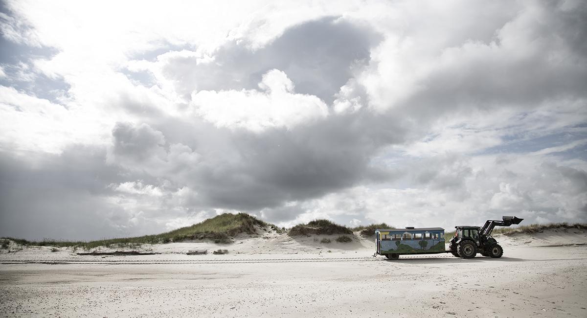 Nationalparker i Danmark, Vadehavet, Skallingen, natur, traktor og tog