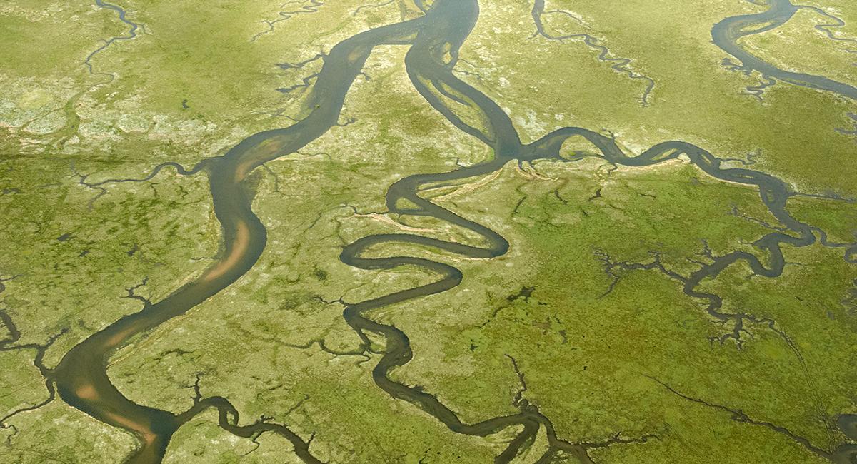 Nationalparker i Danmark, Vadehavet, Skallingen Saltmarsk, natur