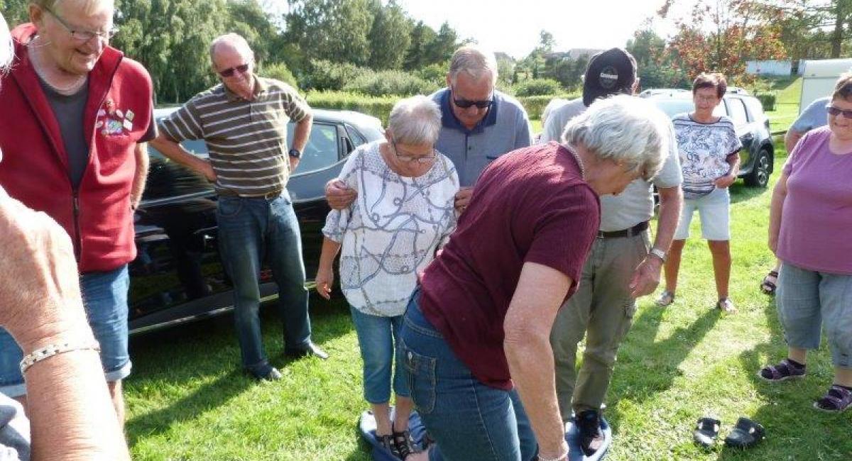 seniorstævne 2019