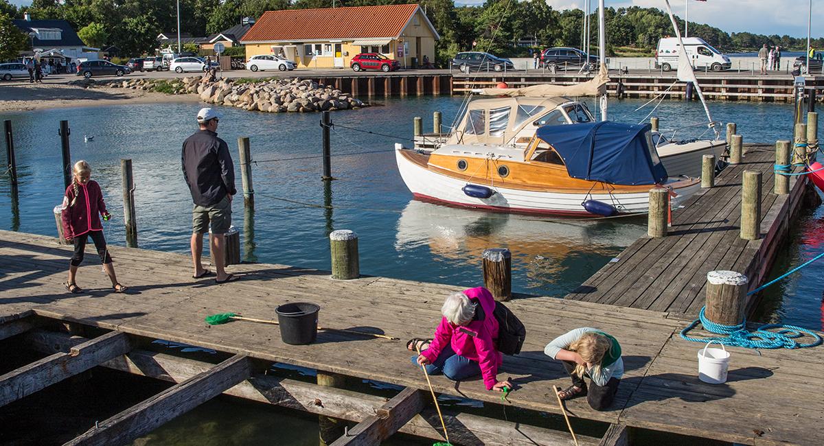 Børn kan få timer til at gå med at fiske på molen i Rørvig. Rørvig, mole, fiskeri, krabber, børn