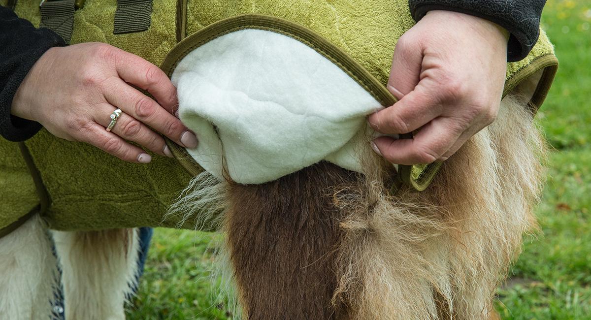 Siccaro, hundedragt, våd hund, dyredragt, tør hund, dragt til hunde, dragt til dyr