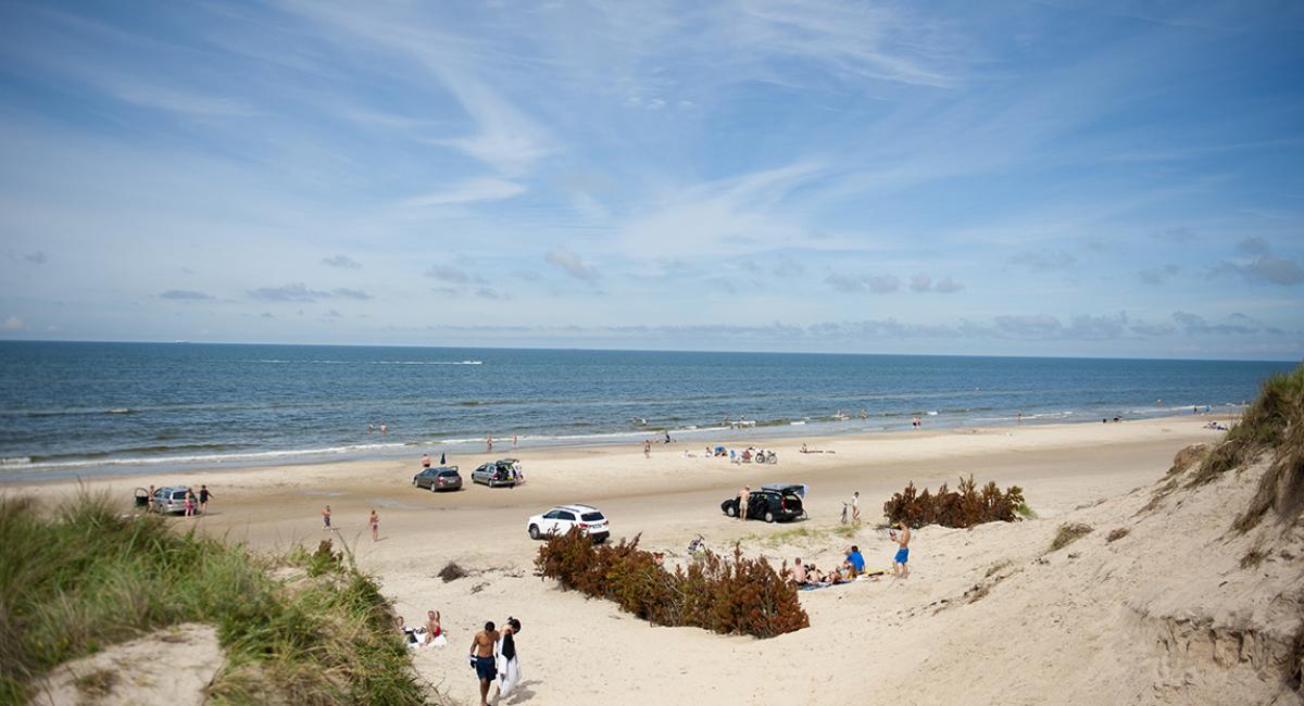 Beliggenheden ud til Vesterhavet og gode faciliteter inde på pladsen er nogle af årsagerne til, at mange gæster år efter år vender tilbage til Skiveren Camping. Skiveren Camping, campingplads, Aalbæk, Nordjylland, strand