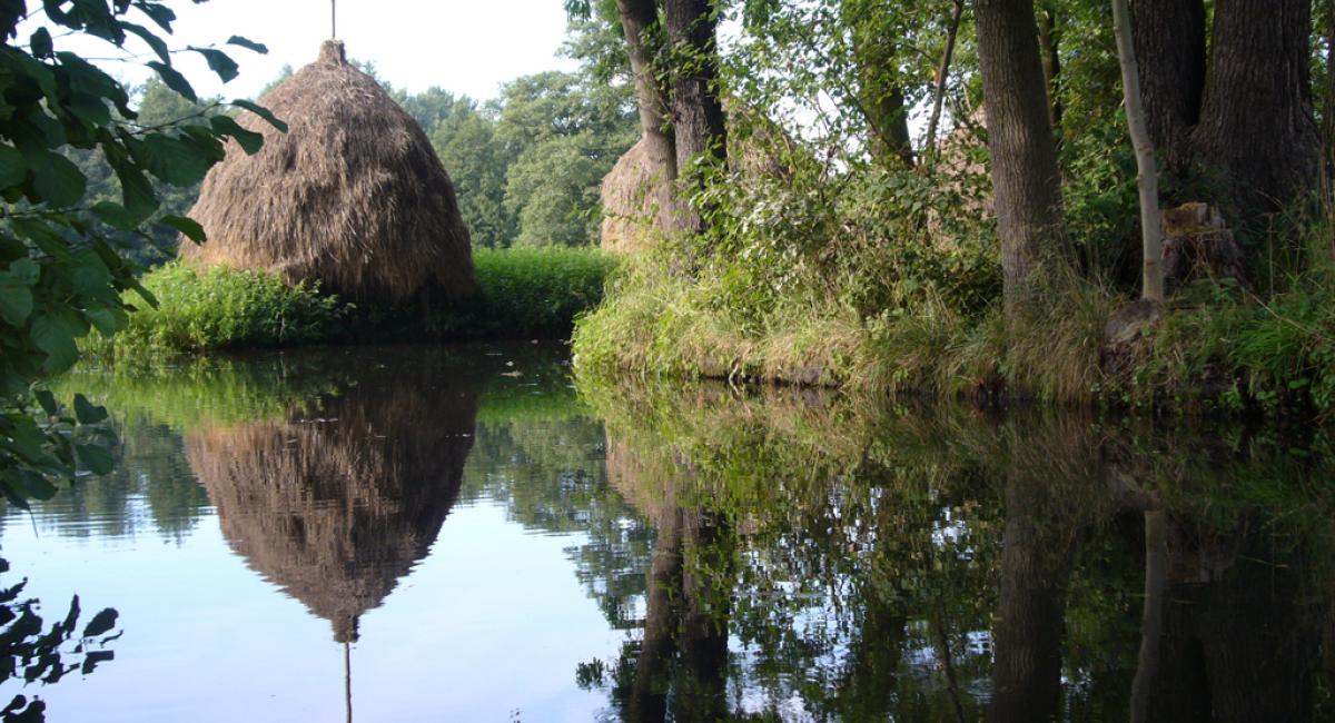 Tag på kano- og kajaktur i Spreewald eller prøv en af de egnstypiske både – en såkaldt Spreewaldkahn. Tyskland, rejser, ferie, Spreewald, Spree, kano, kajak, kahn