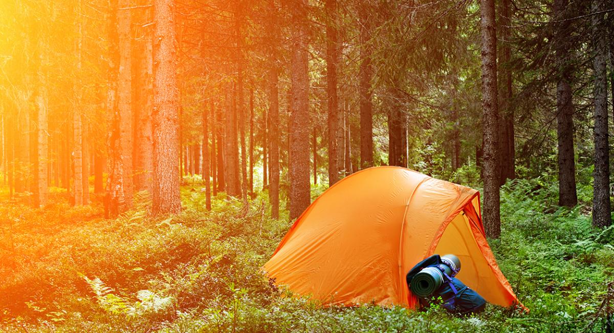 fri teltning, teltcamping, telte