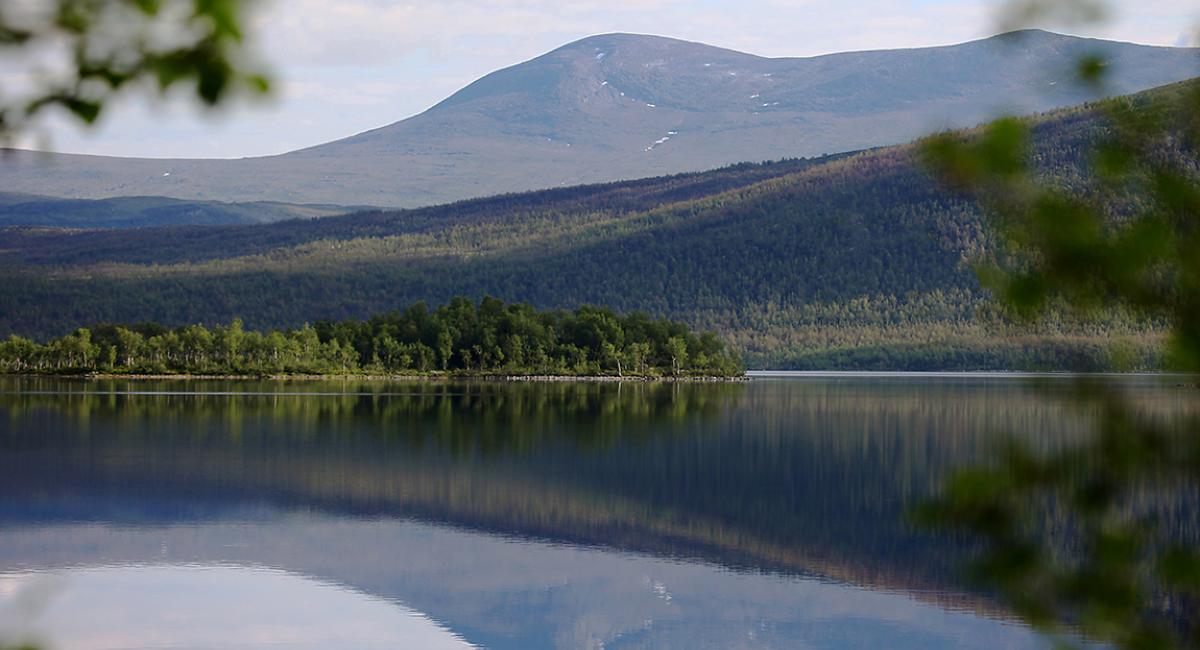 vandre, vandreferie, Lapland, Sverige, vandreekspert Chistian Milbo