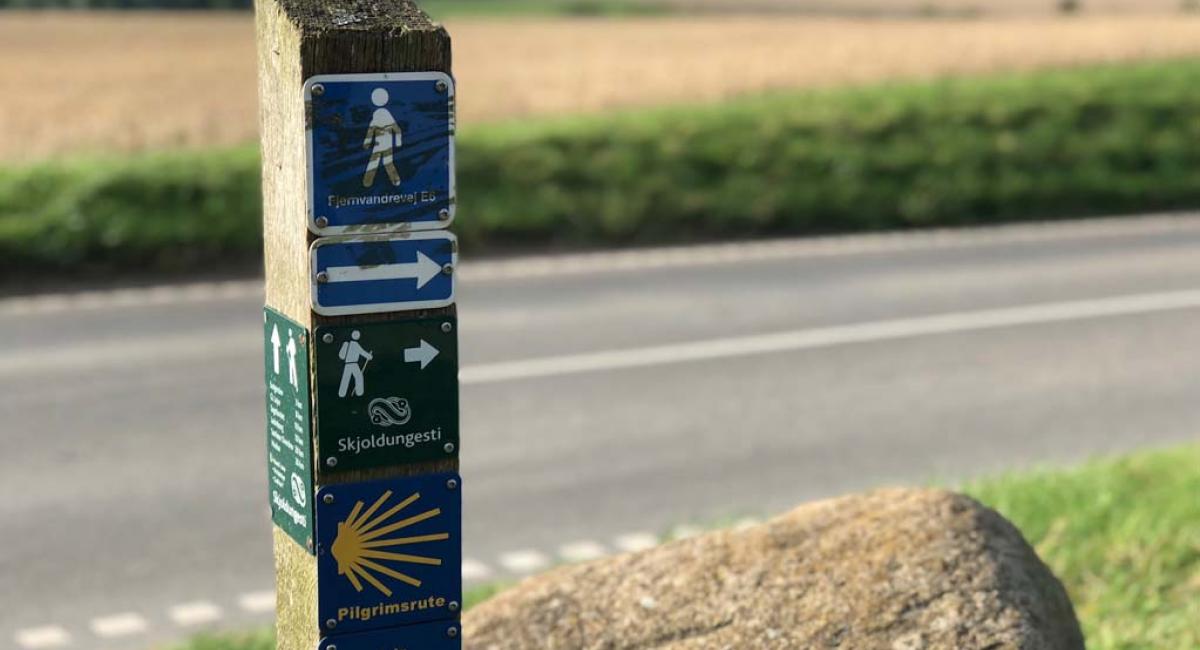 Skjoldungestien fra Roskilde til Hvalsø er en dejlig vandrerute. Skjoldungestien, vandre, vandreferie, vandreekspert Chistian Milbo