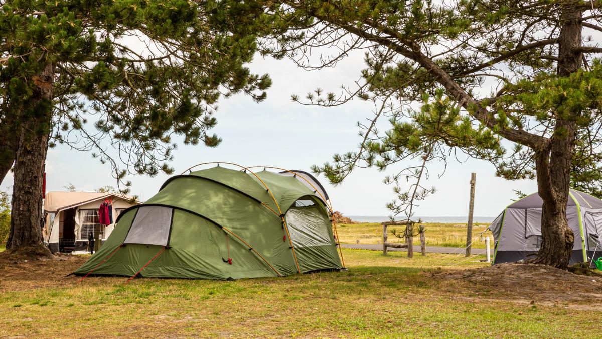 Telt på DCU-Camping Flyvesandet Strand