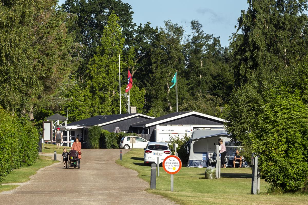 9-7-22_DCU-Camping_Gjerrild_Strand_2022_foto_Lasse_Loendahl_Henriksen (4 of 115).JPG