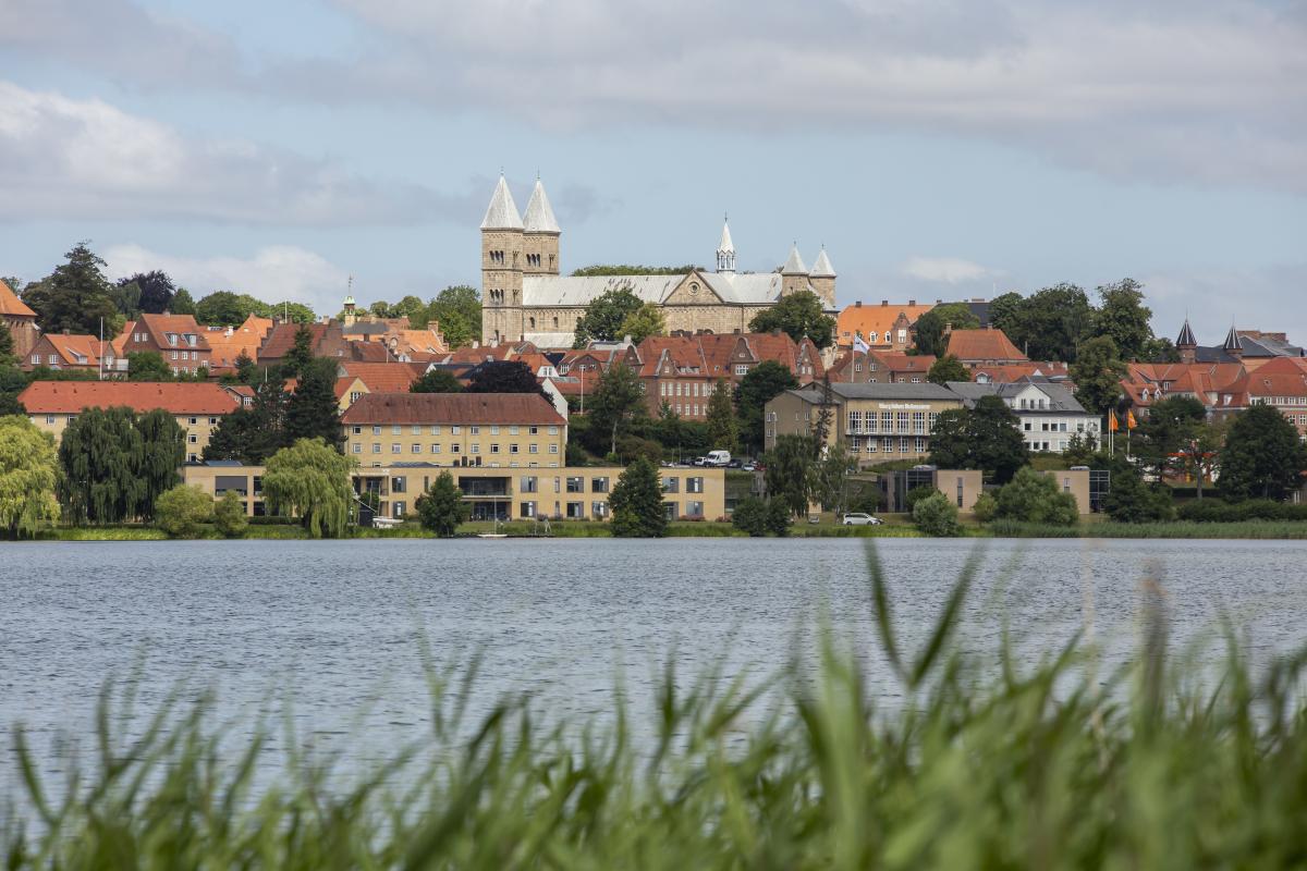 Viborg