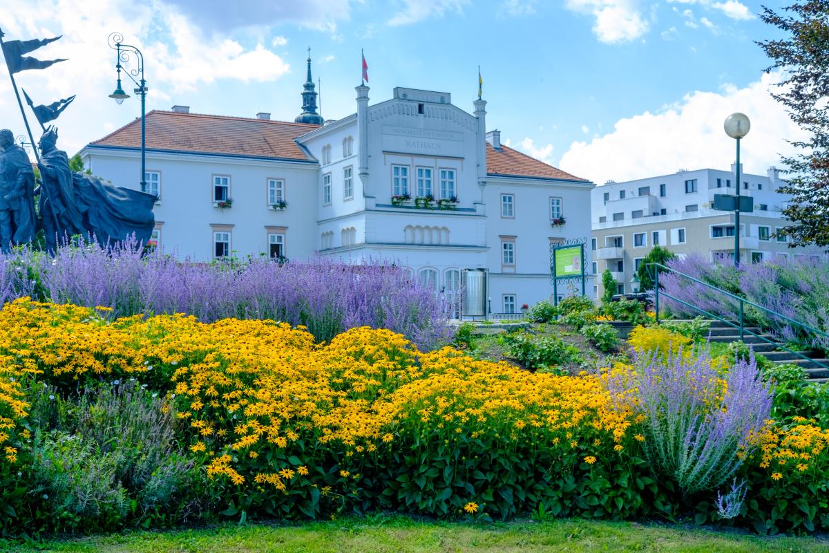 Rådhus i Tulln Rådhus i Tulln