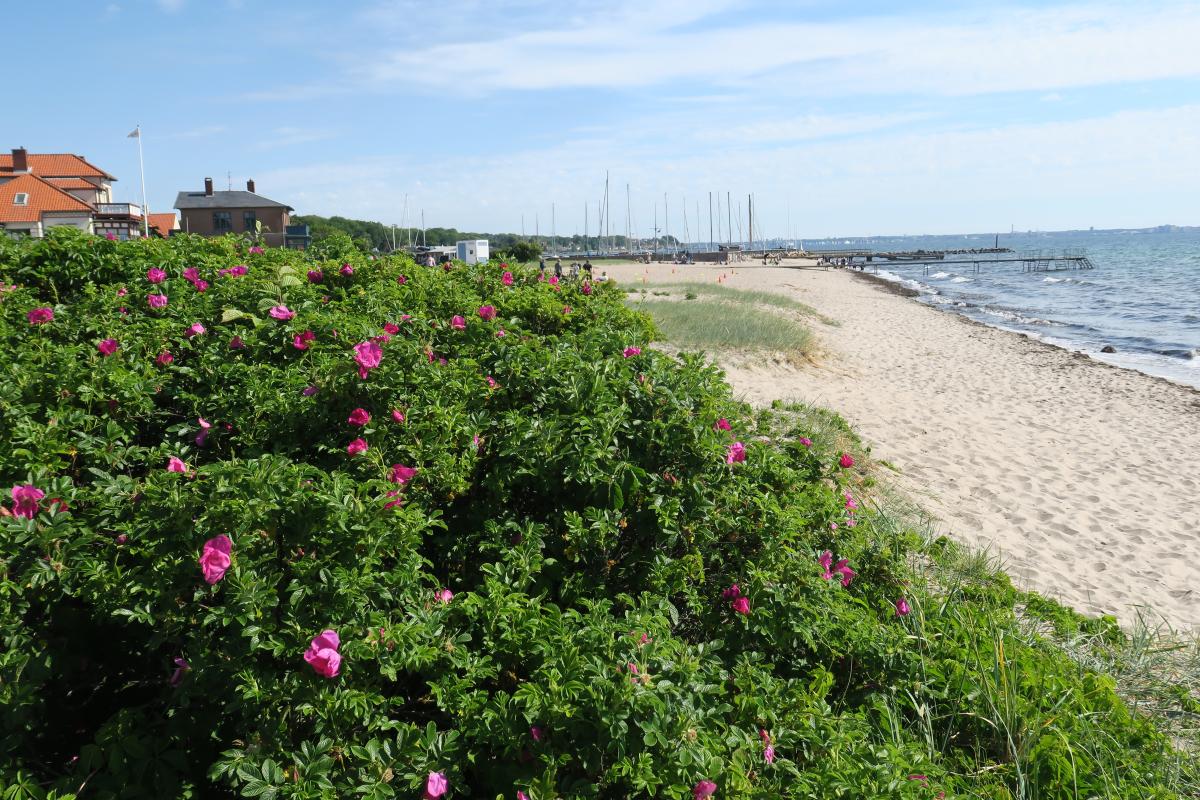 Espergærde Strand