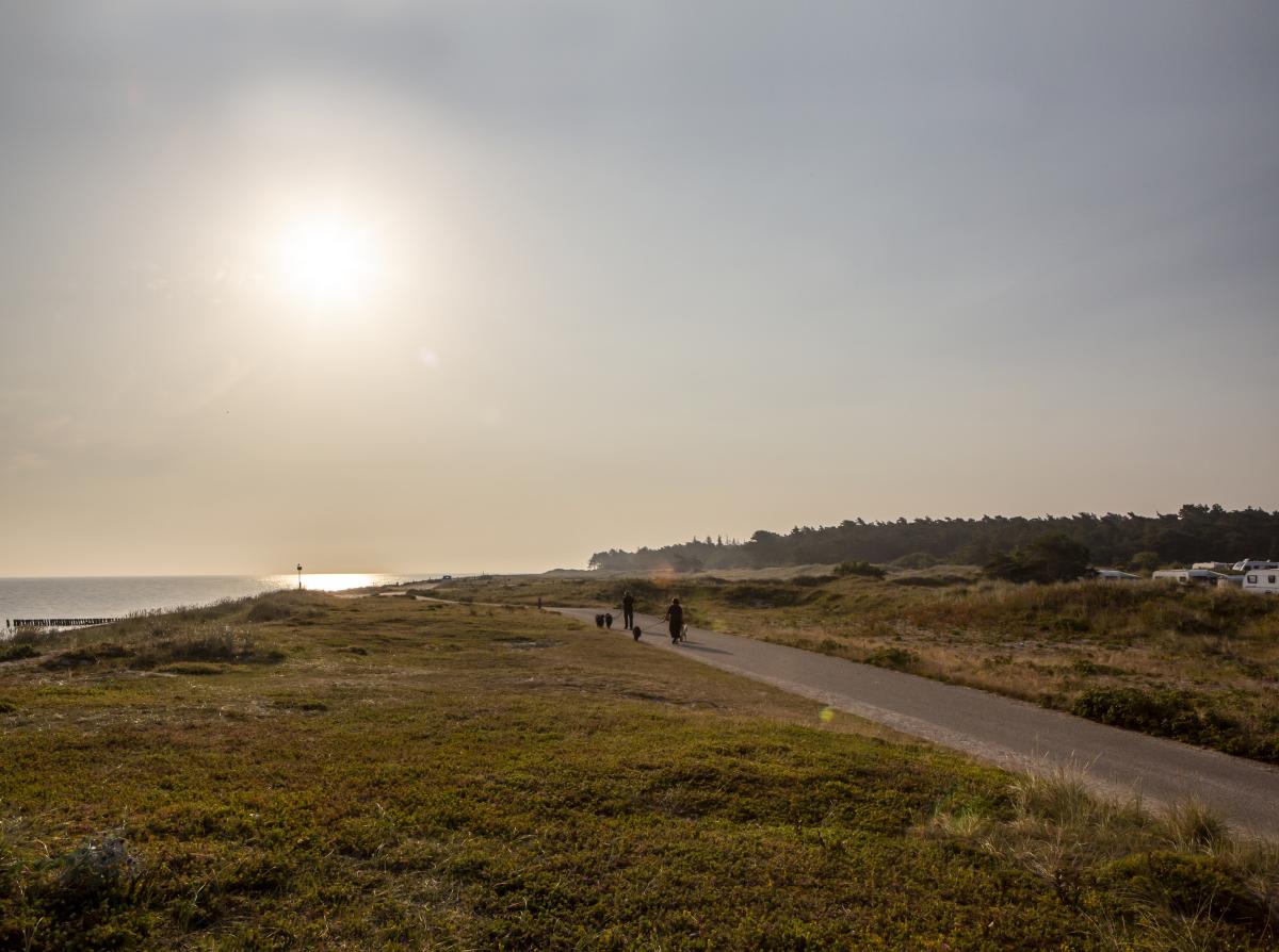 Flyvesandet