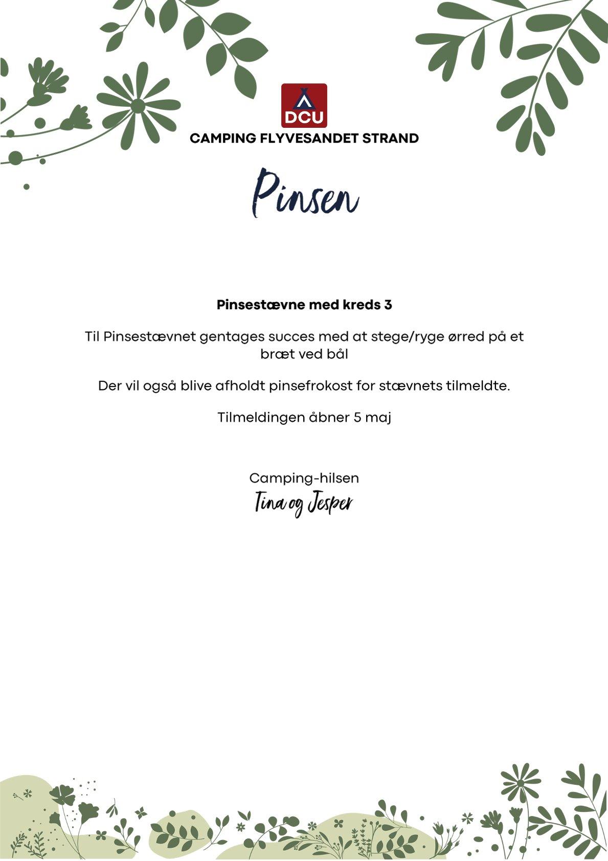 DCU-CAMPING - Pinsen Flyvesandet.jpg