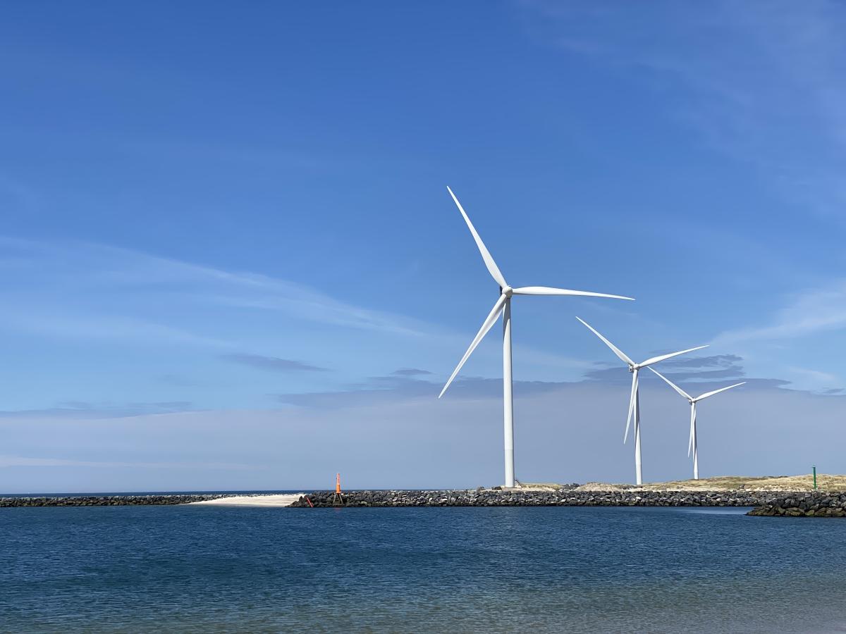 Ringkøbing Fjord Ringkøbing Fjord