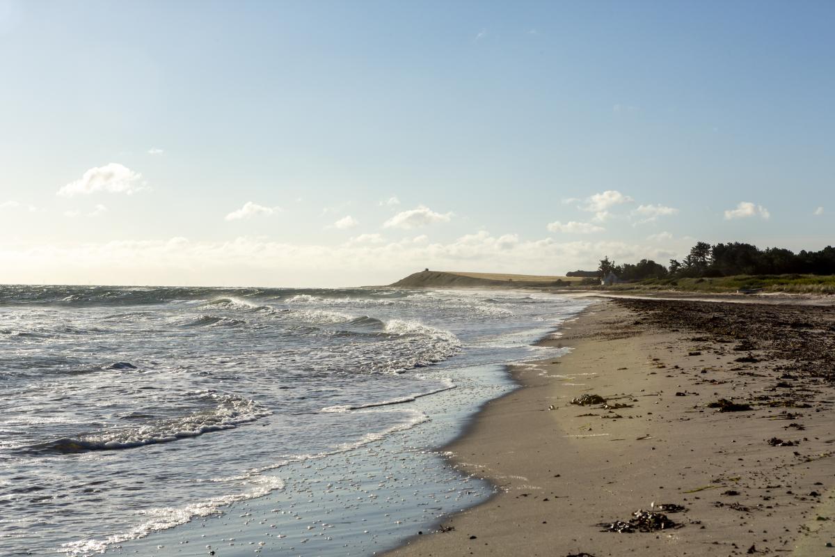 Strande
