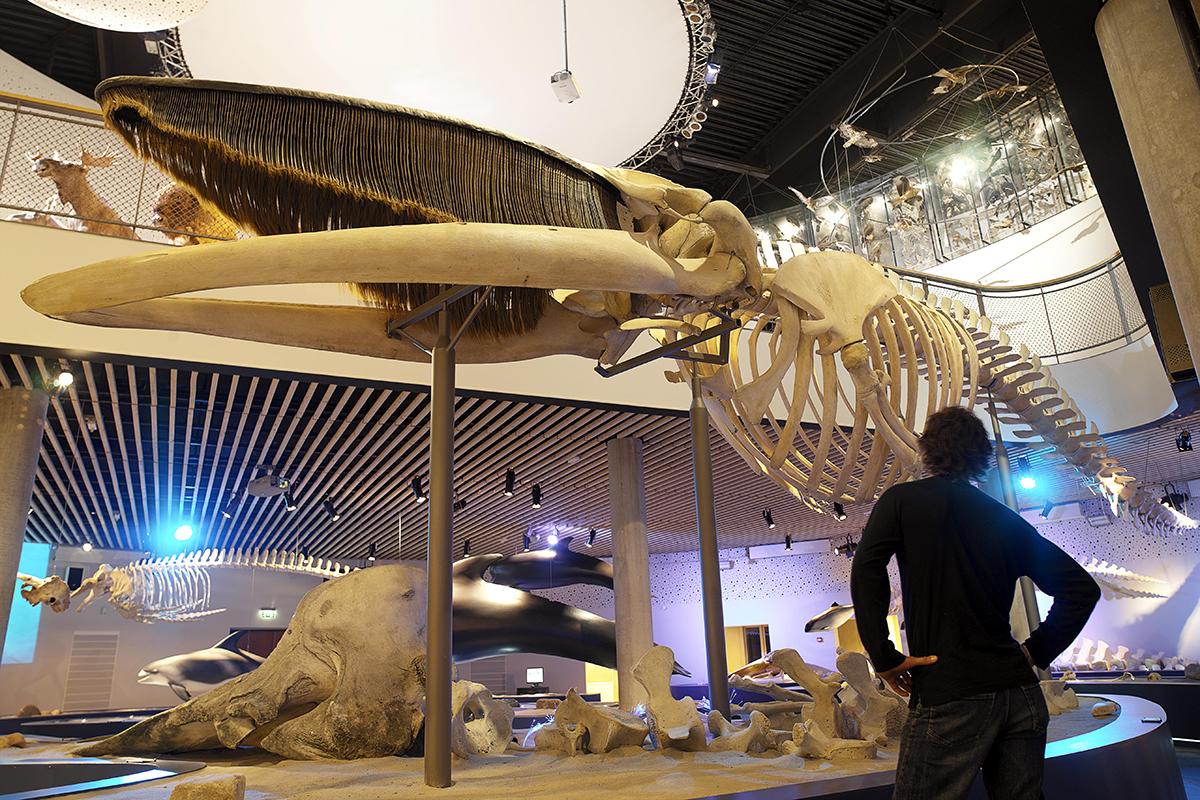 Naturama