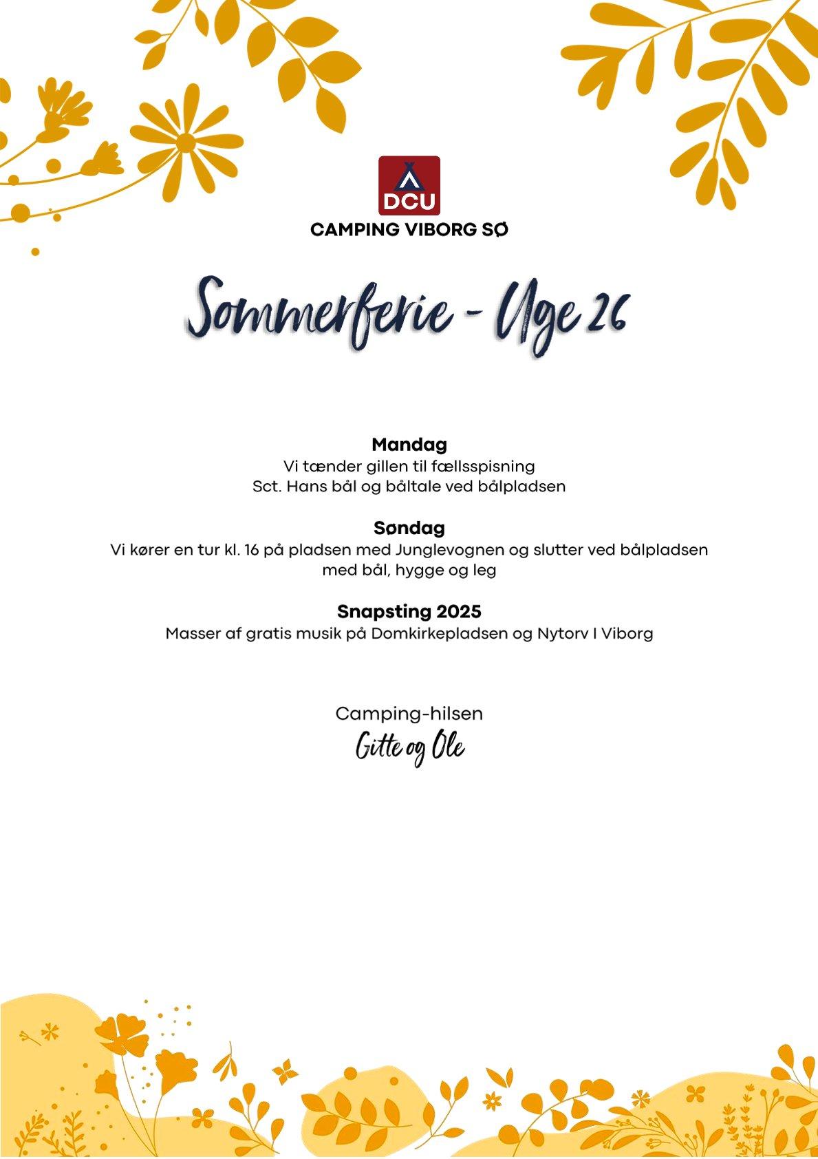 DCU-CAMPING - Viborg 26.jpg