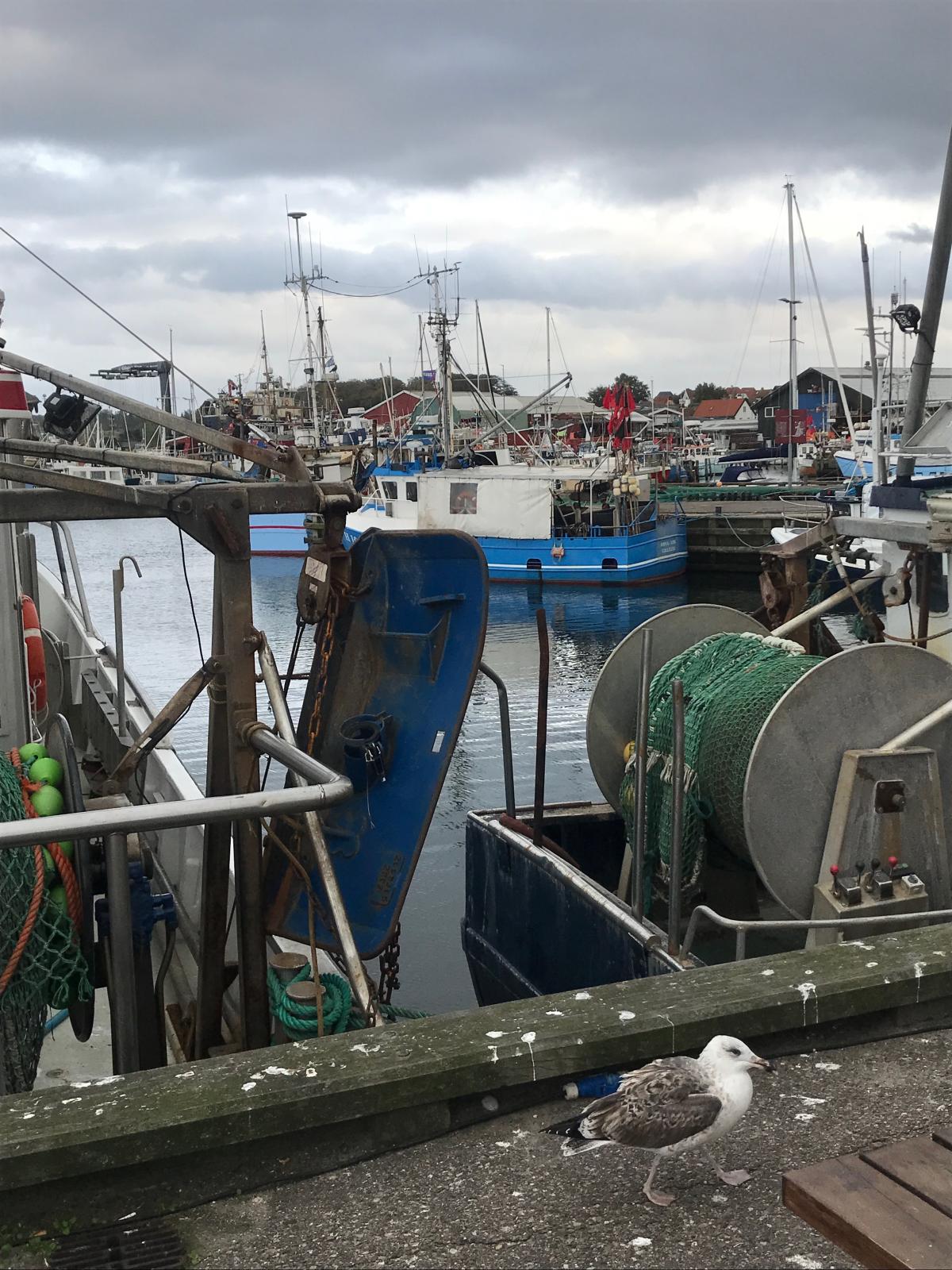Gilleleje
