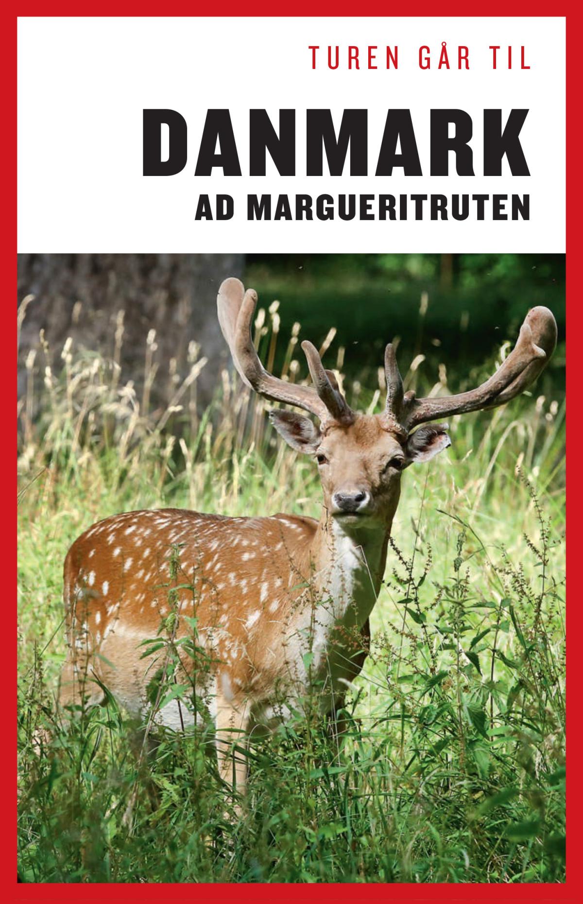 Margueritruten Margueritruten