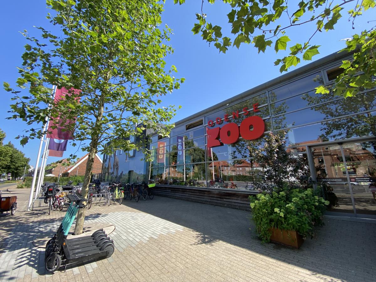 Odense Odense