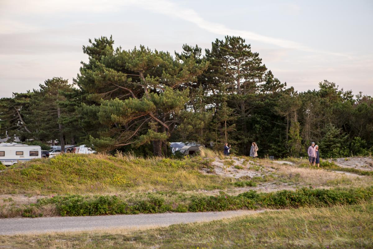 Flyvesandet