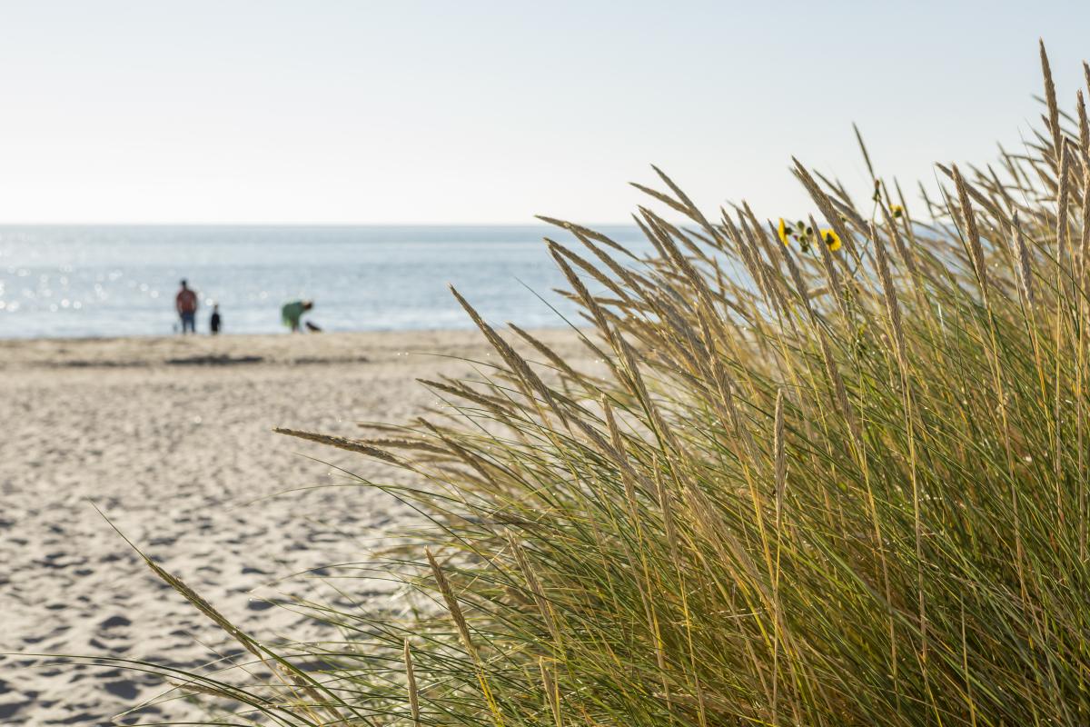 Pladser ved strand og by
