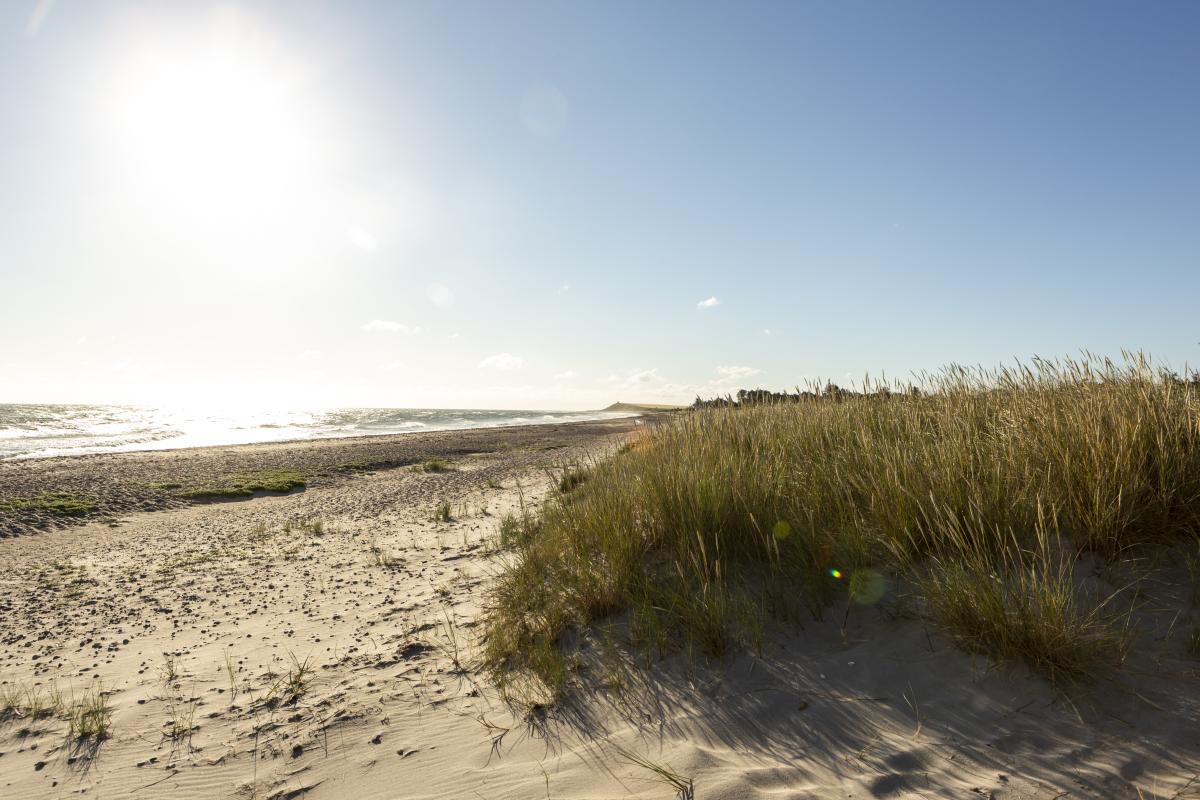 Strand