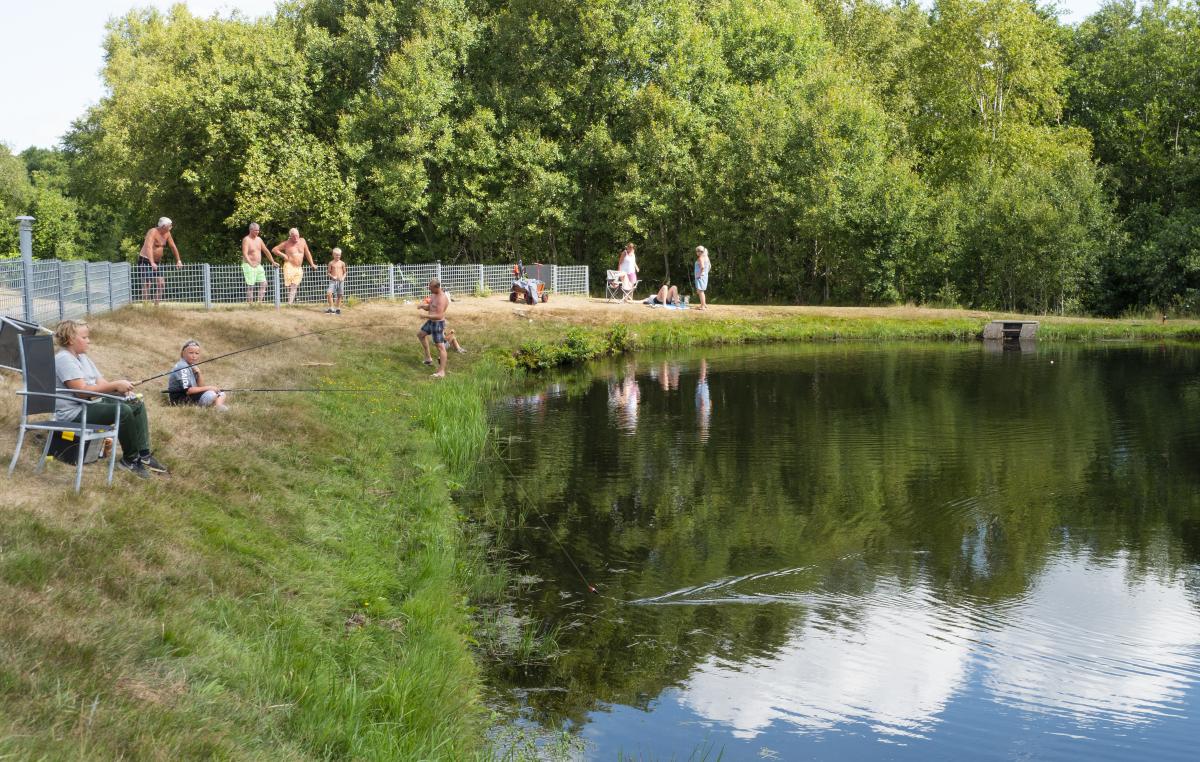 Fiskeri Fiskeri