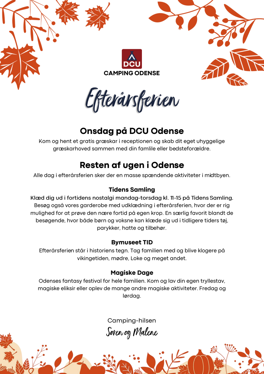 Aktiviteter i efterårsferien