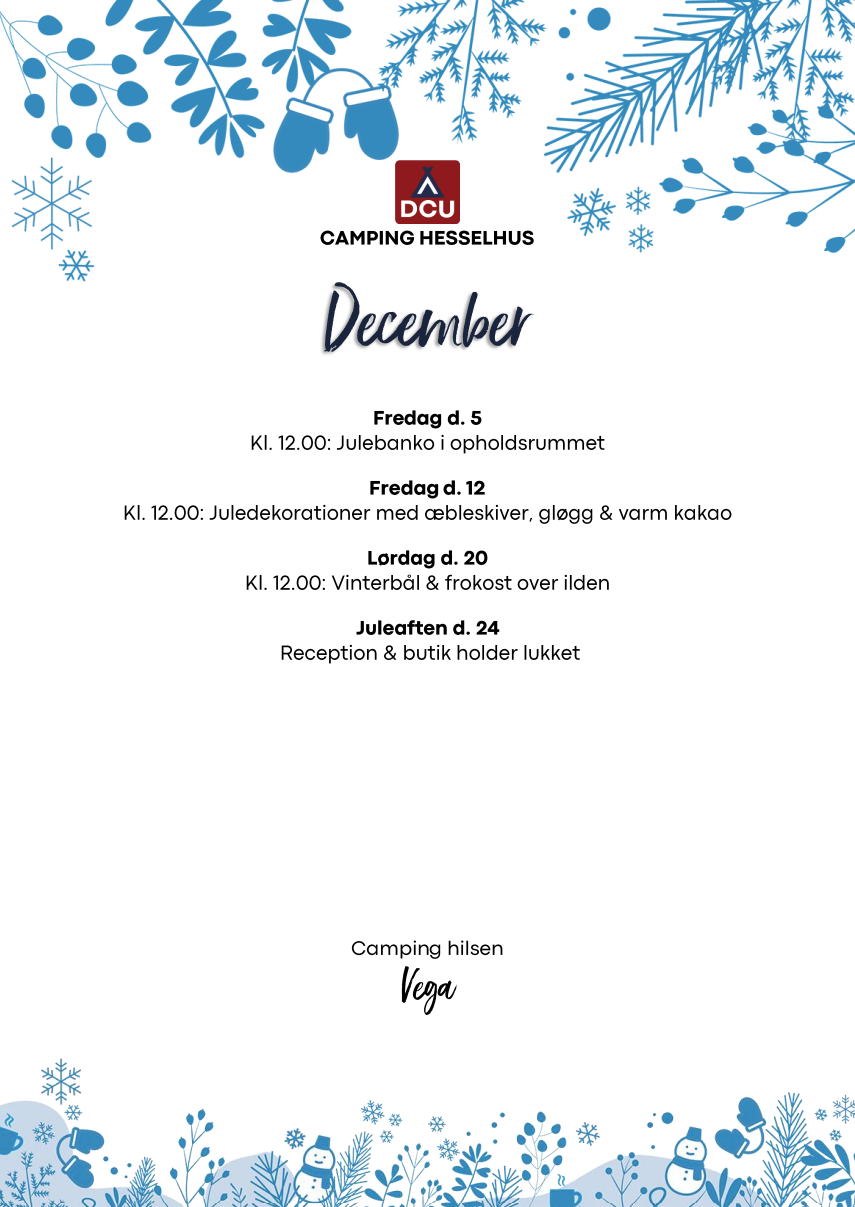 Aktiviteter vinter