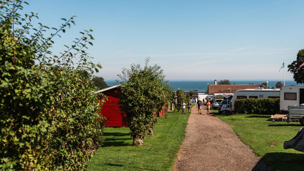 DCU-Camping Grønninghoved Strand Teltplads