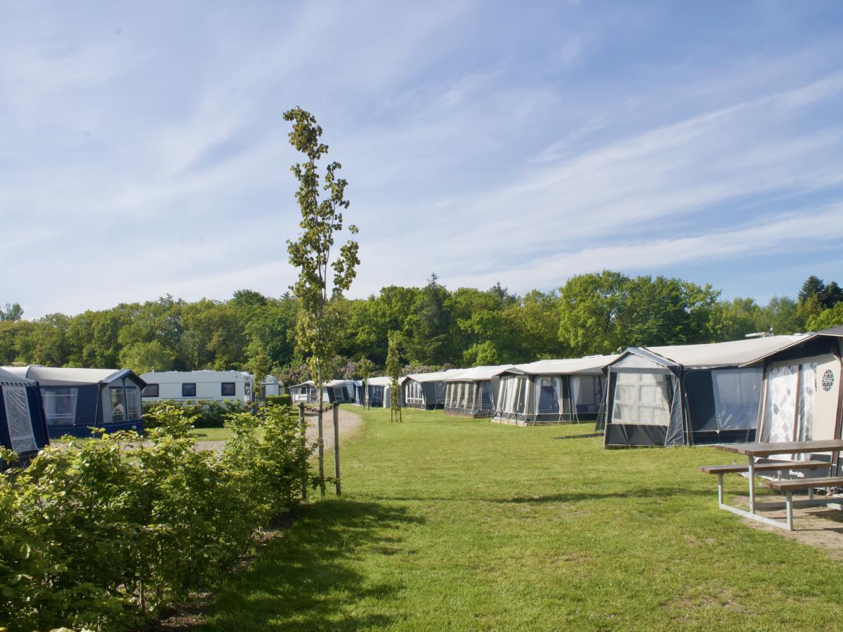 Foto: Ribe Camping