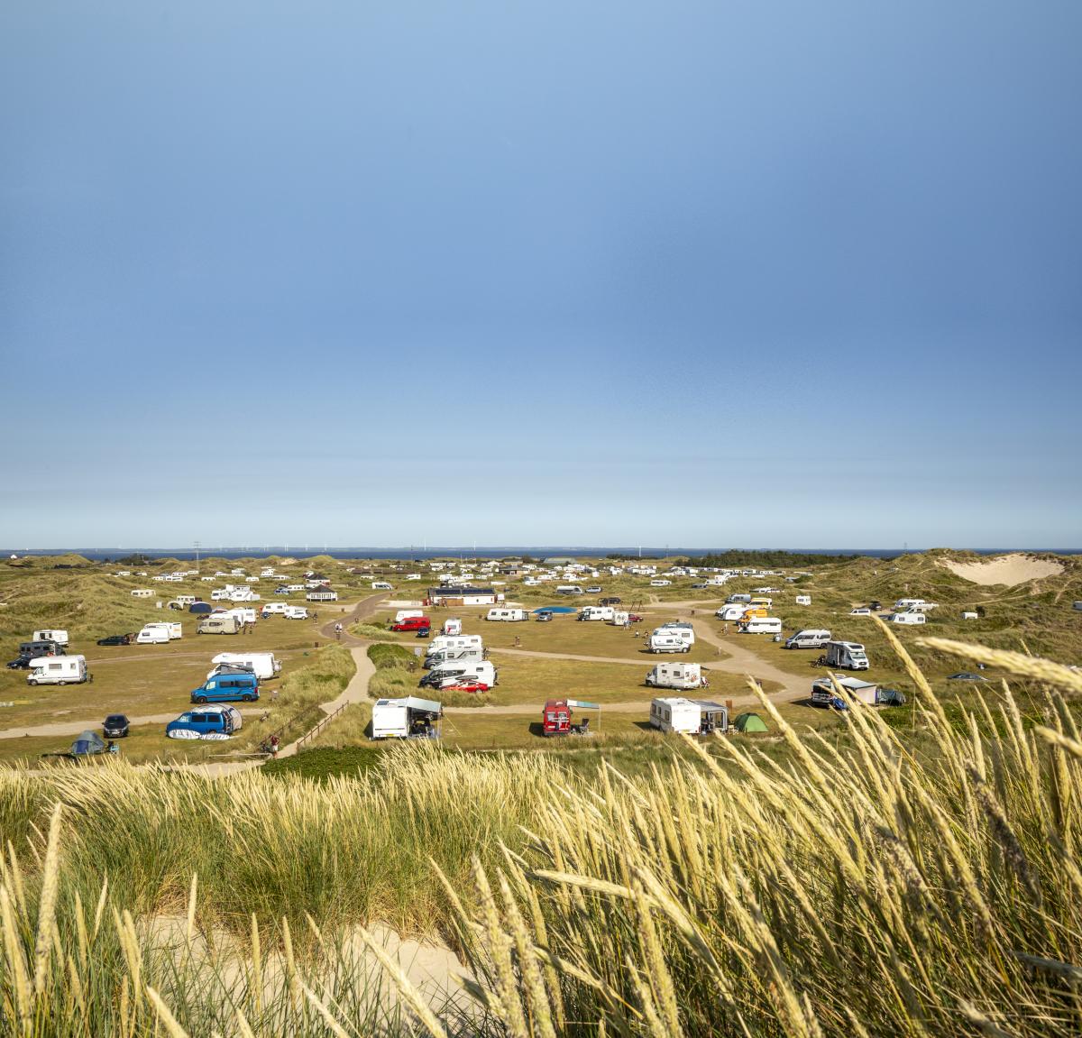 Foto: Lasse Løndahl Henriksen