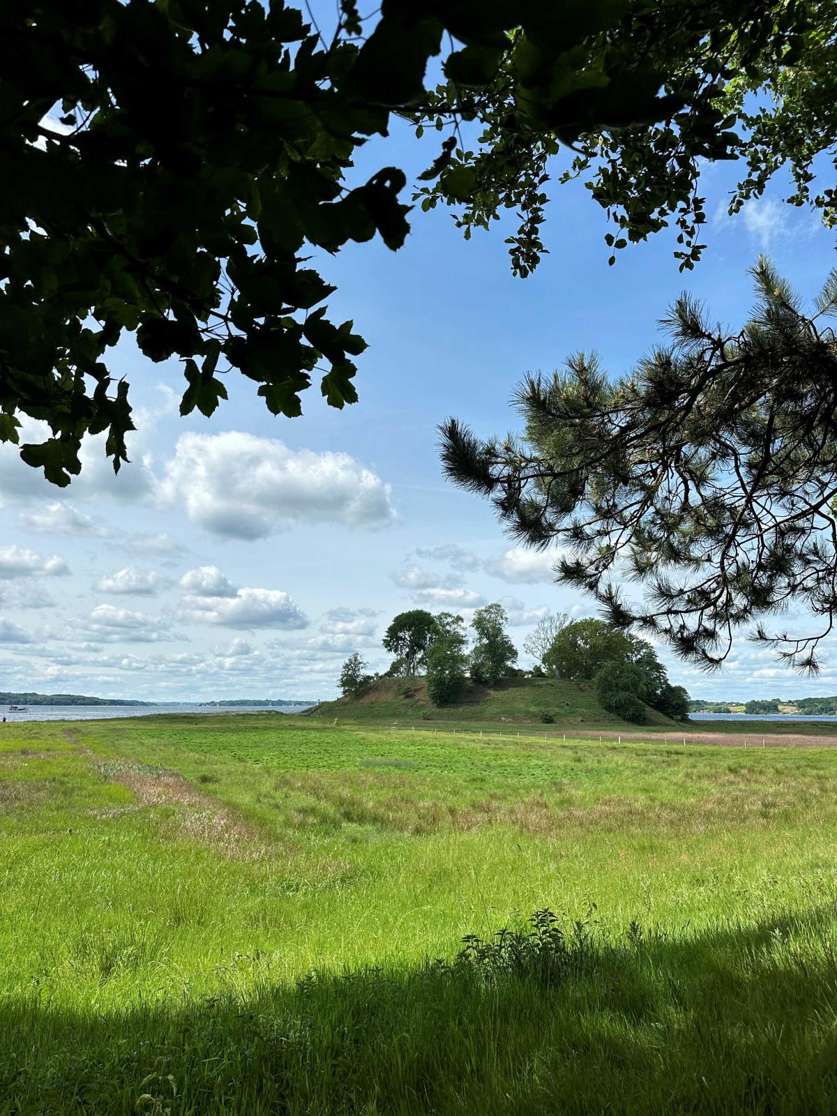 Foto Rasmus Schønning