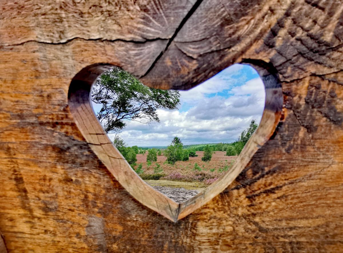 Foto: Adobe Stock