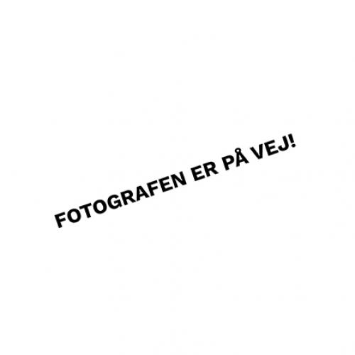 Grafik: Rikke Steenstrup Grafik: Rikke Steenstrup