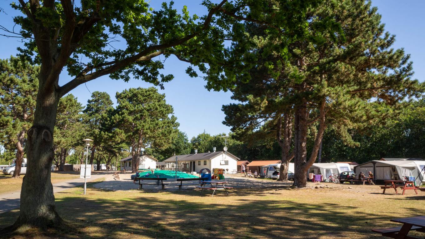 DCU har købt en campingplads på Bornholm, som åbner til foråret 2021 under navnet DCU-Camping Rønne Strand - Galløkken. Foto: Rasmus Schønning