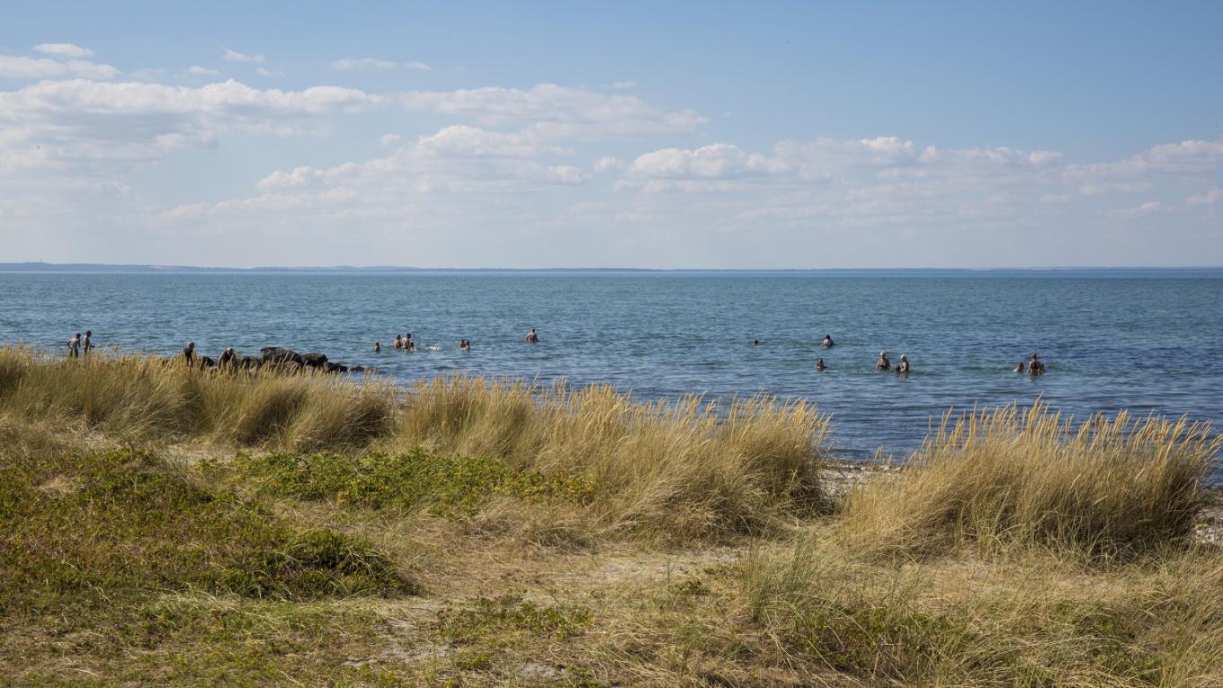 DCU-Flyvesandet Strand Camp
