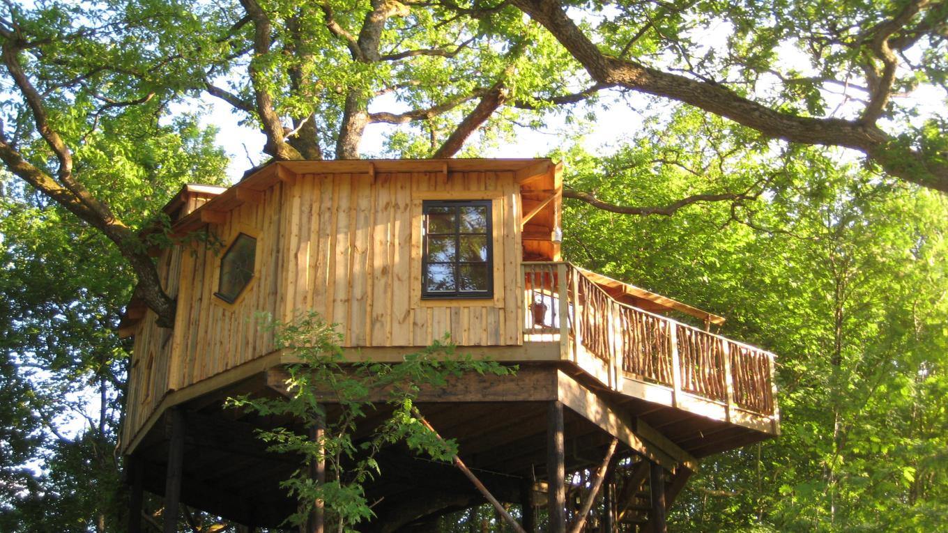 Sverige, VisitSweden, trætop, Korpaboet, natur, sov i pagt med naturen