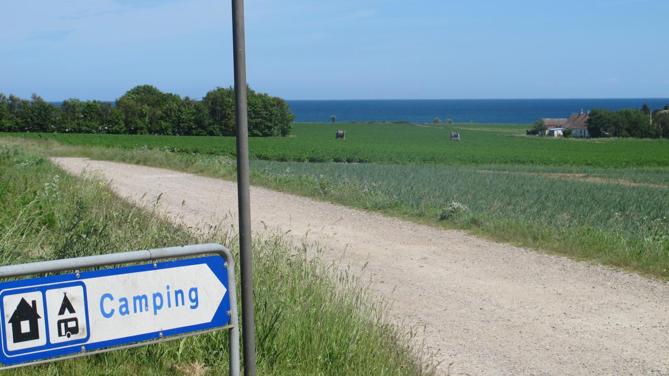Samsø, oplevelser, camping, campingferie, labyrint, falkecenter, vandreture