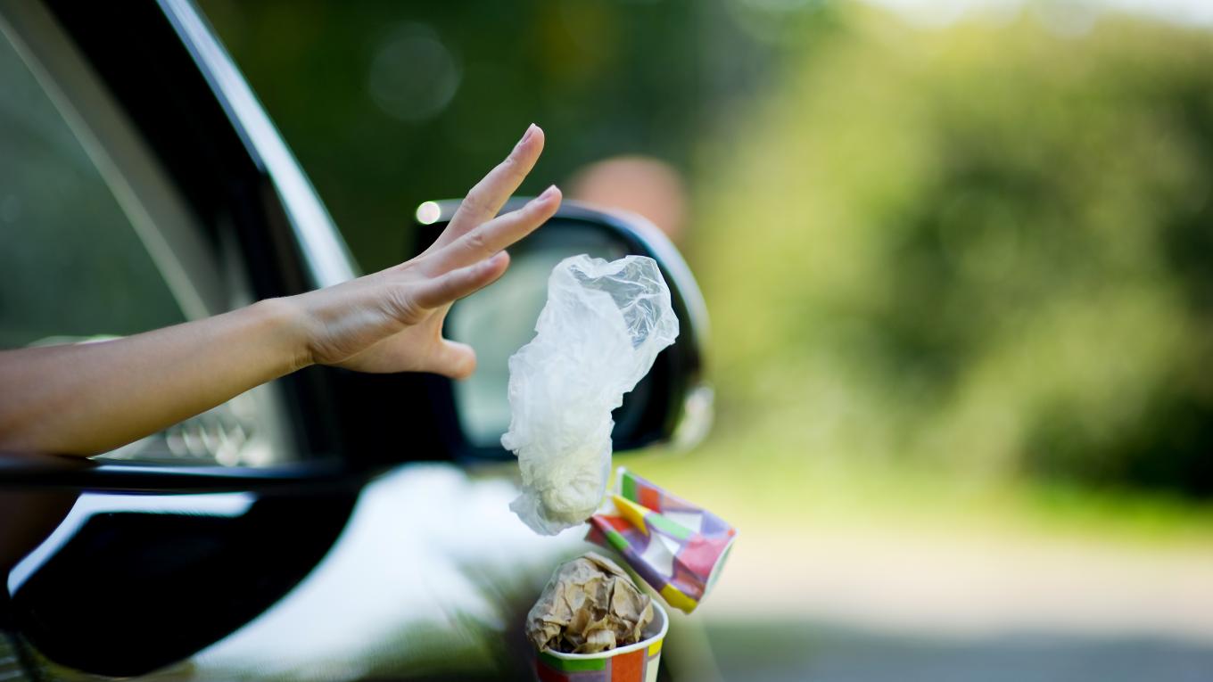 Foto: Adobestock