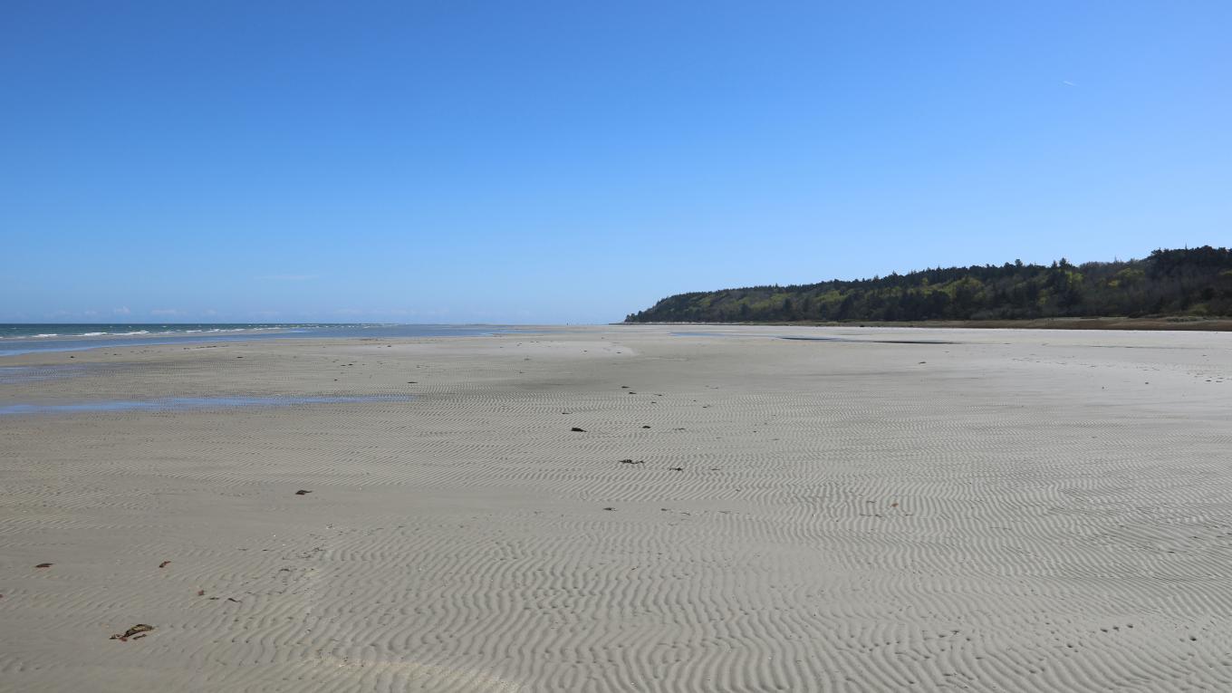 Bønnerup Strand