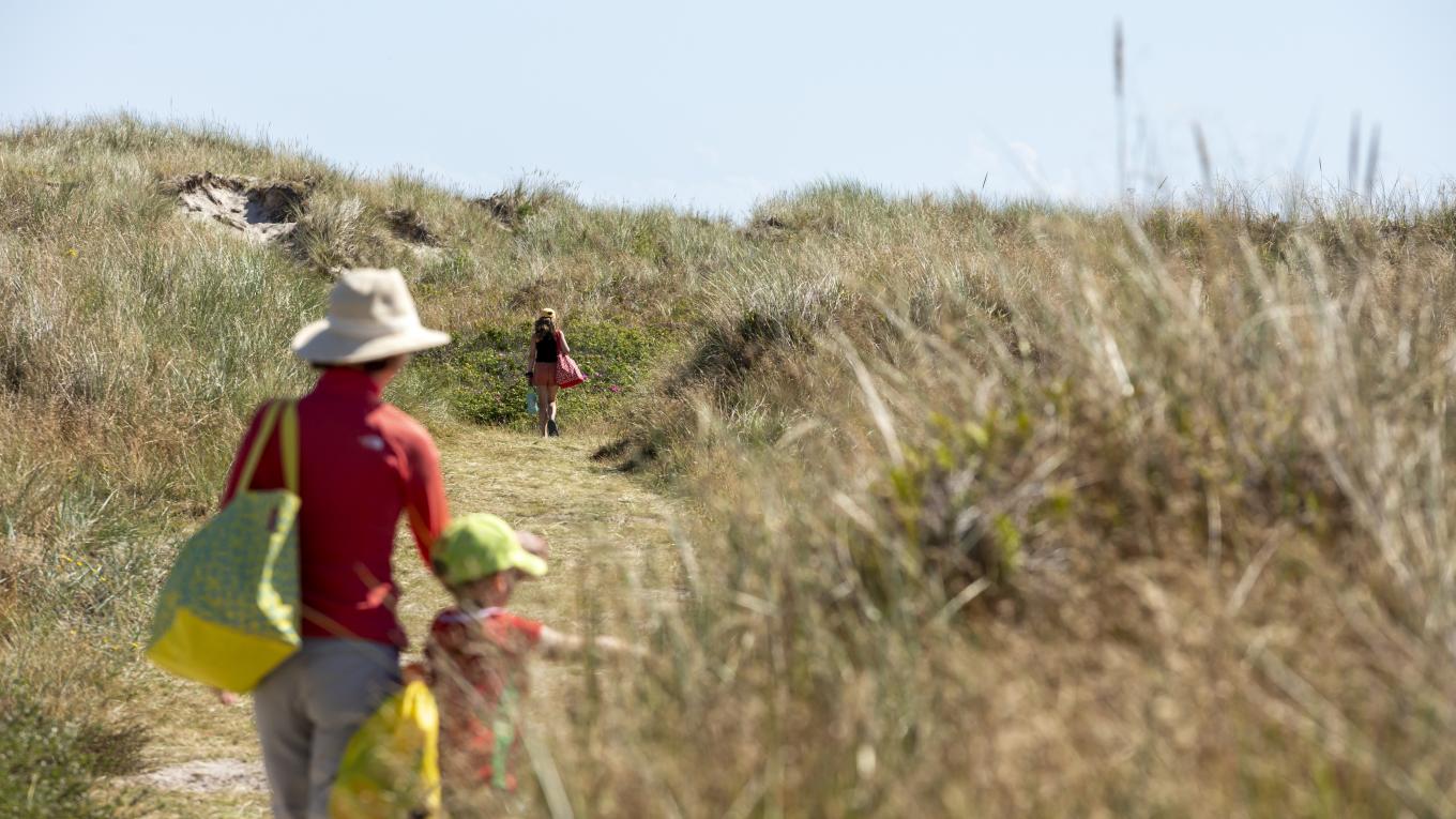 DCU-Camping Aalbæk Strand - strand