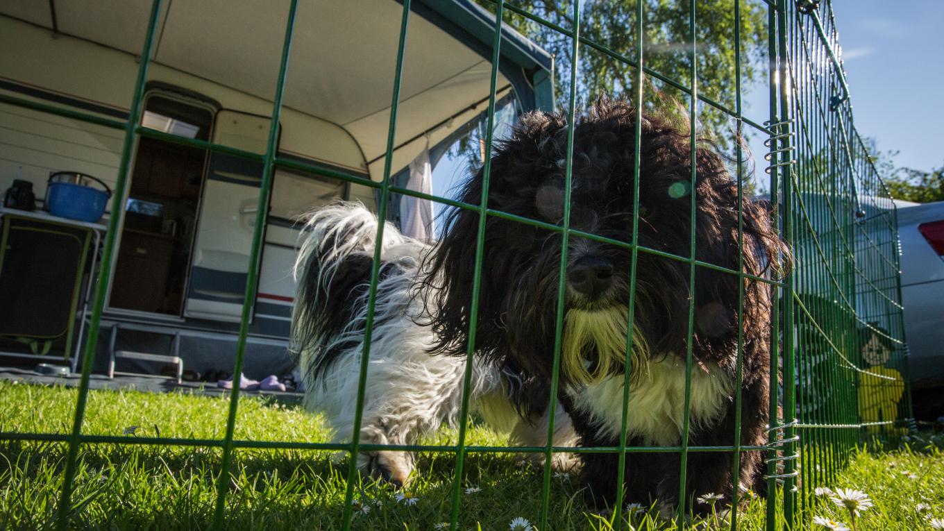 Foto Rasmus Schoenning