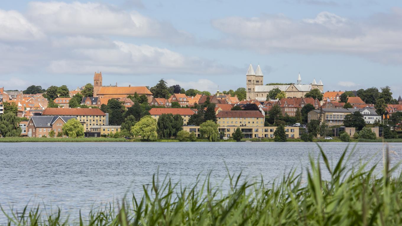 28-7-22_DCU-Camping_Viborg_2022_foto_Lasse_Loendahl_Henriksen-18.JPG