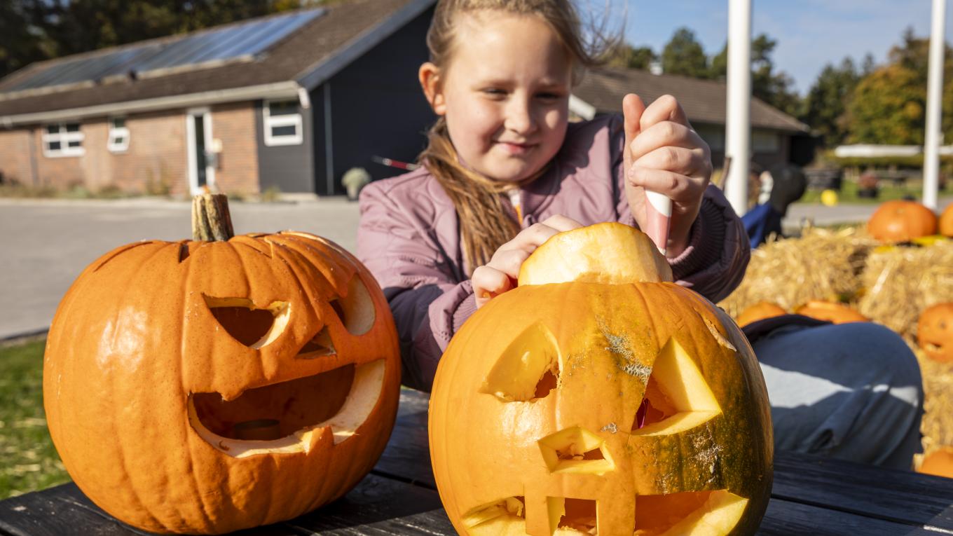 Foto Rasmus Schønning