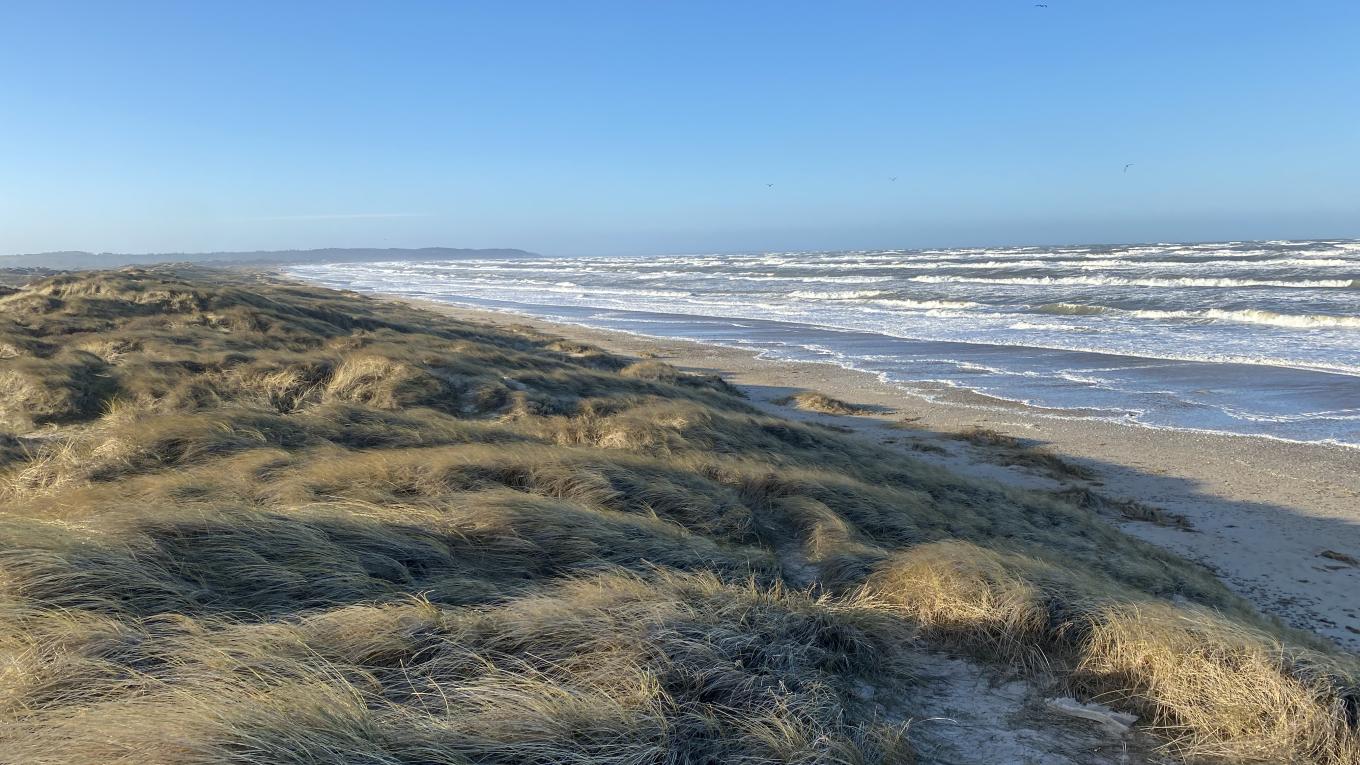 Foto: Anne-Vibeke Isaksen